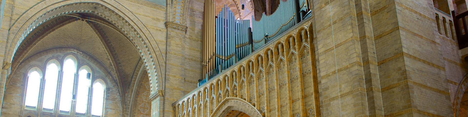 Cathedral of Saint Bavo which includes interior views, religious elements and a church or cathedral
