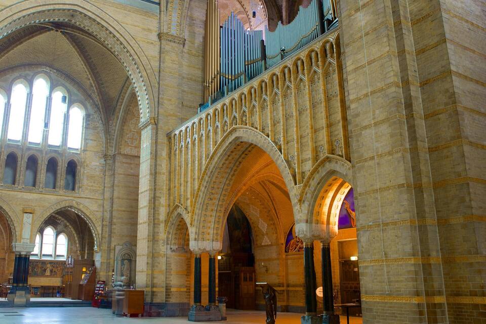 Interior de una catedral con amplias ventanas apuntadas y un órgano tubero.