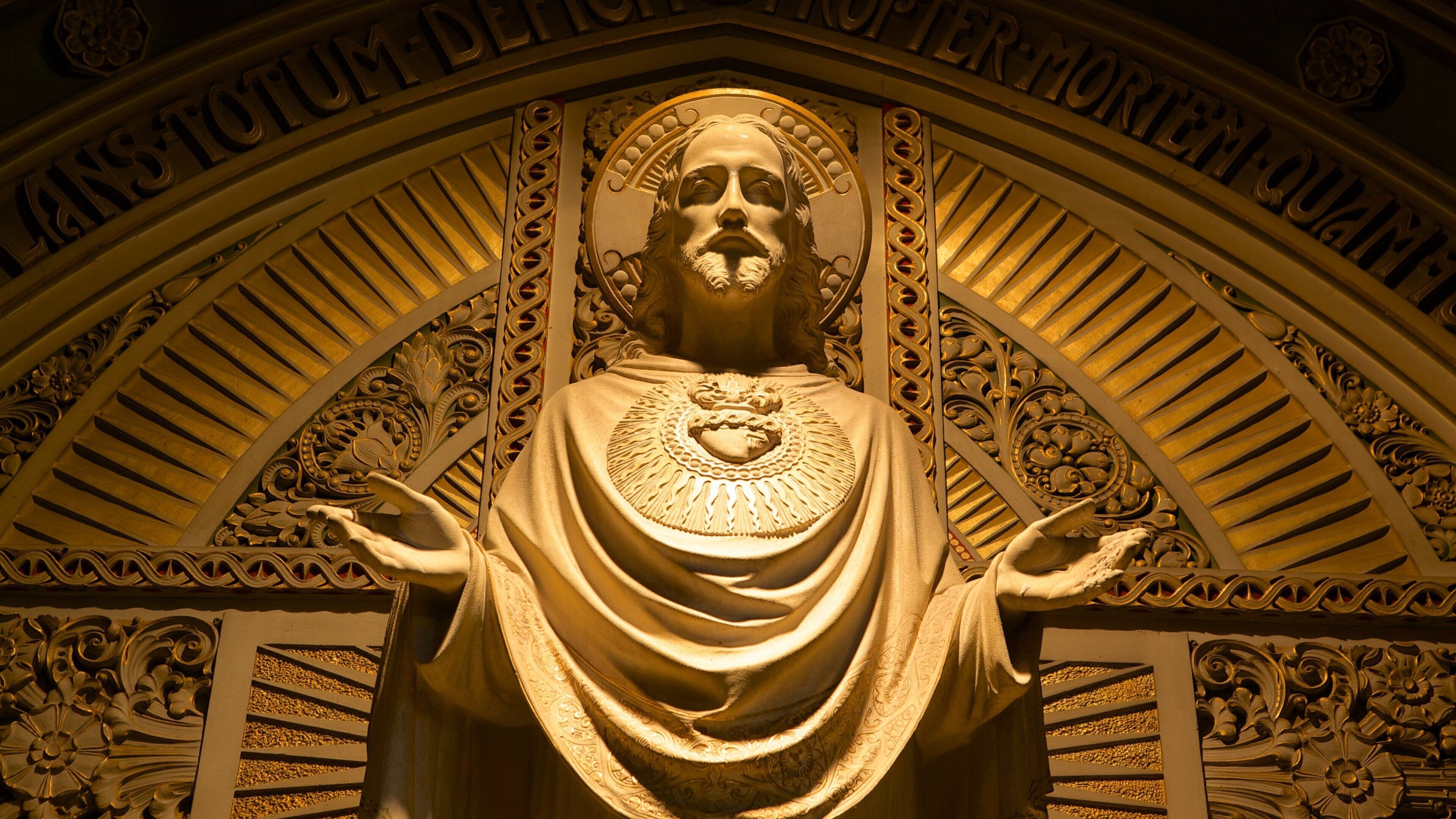 Cathedral of Saint Bavo which includes a statue or sculpture, interior views and a church or cathedral