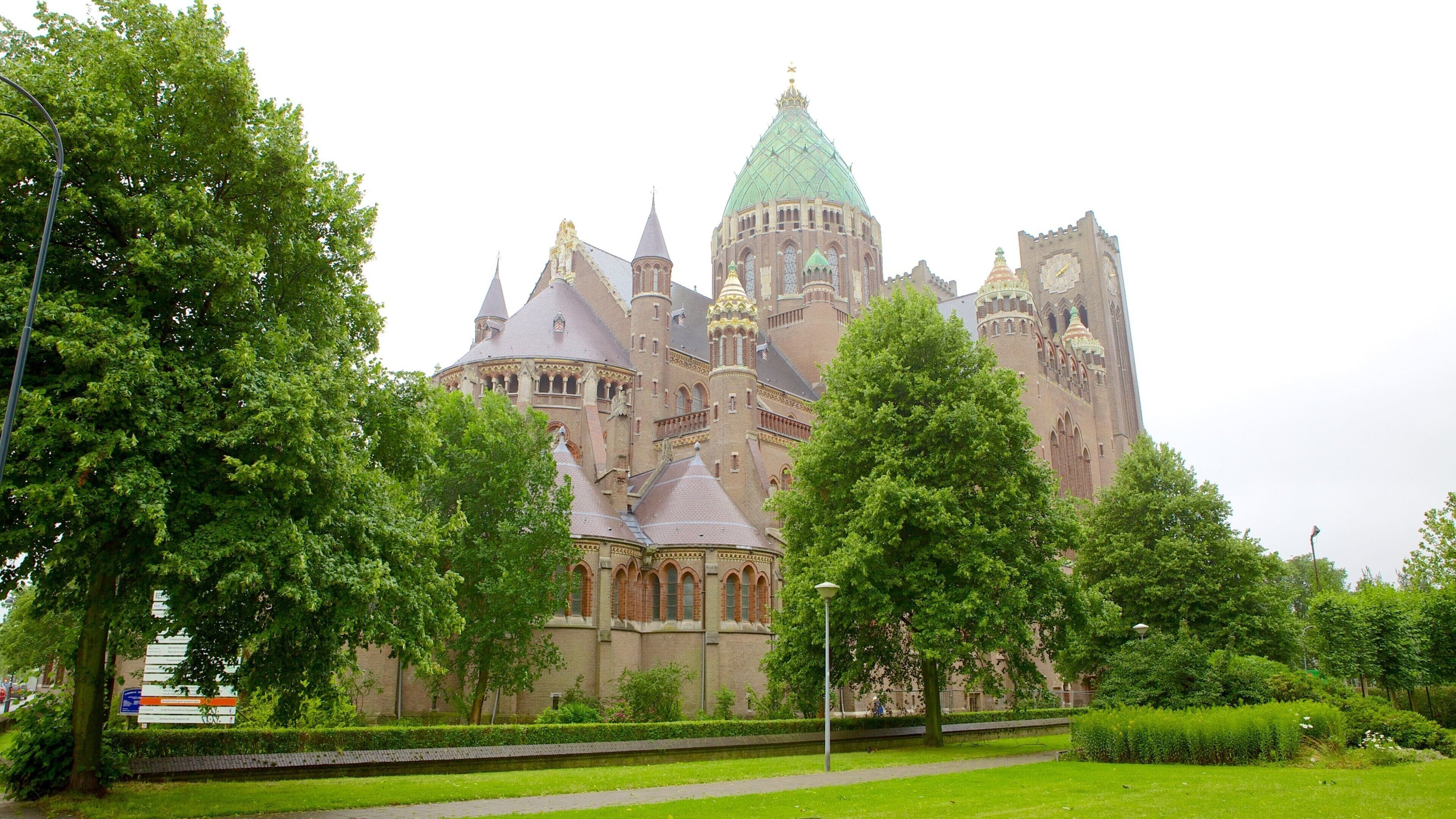 Cathedral of Saint Bavo showing a garden and a church or cathedral