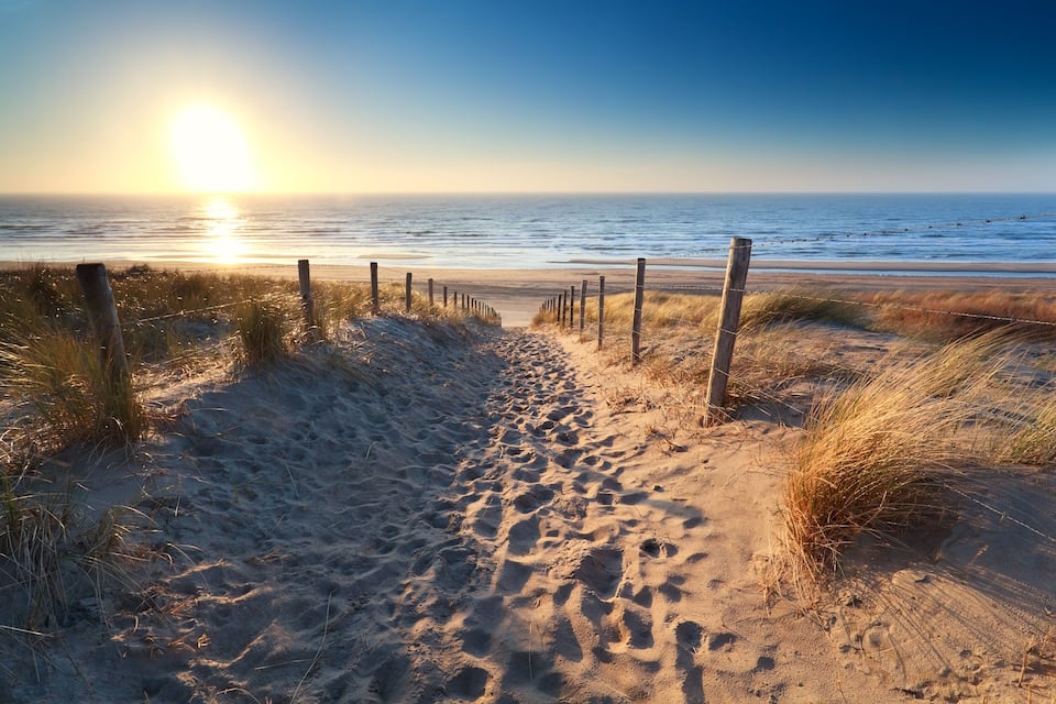 Un sentier de sable qui longe la plage et mène à l’océan, avec une clôture et de l’herbe de chaque côté.