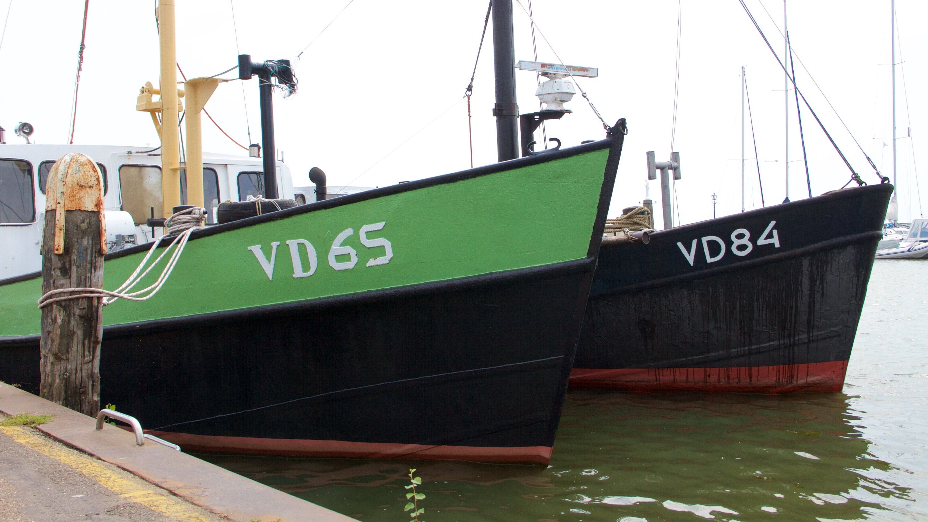 Volendam Harbour que inclui uma baía ou porto e canoagem