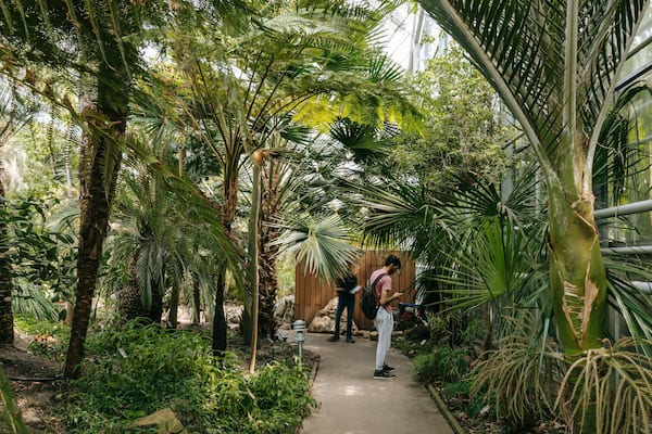 Hortus Botanicus which includes a garden