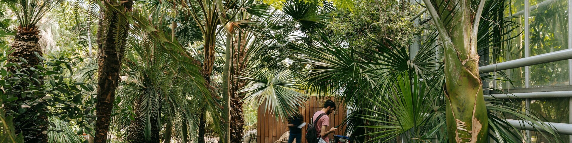 Hortus Botanicus which includes a garden