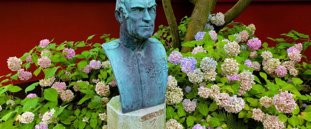 Hortus Botanicus showing a park, flowers and a statue or sculpture