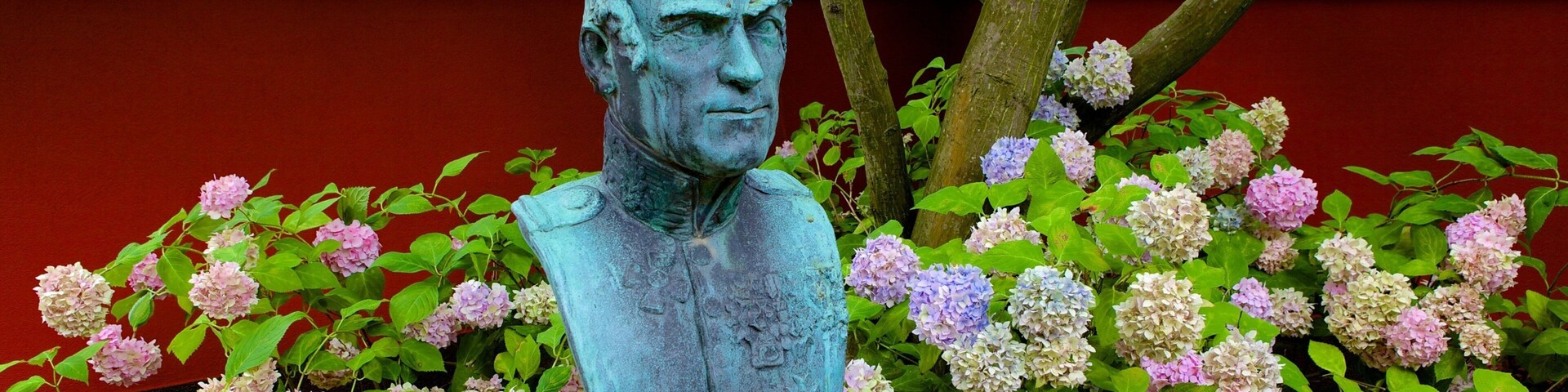 Hortus Botanicus showing a park, flowers and a statue or sculpture