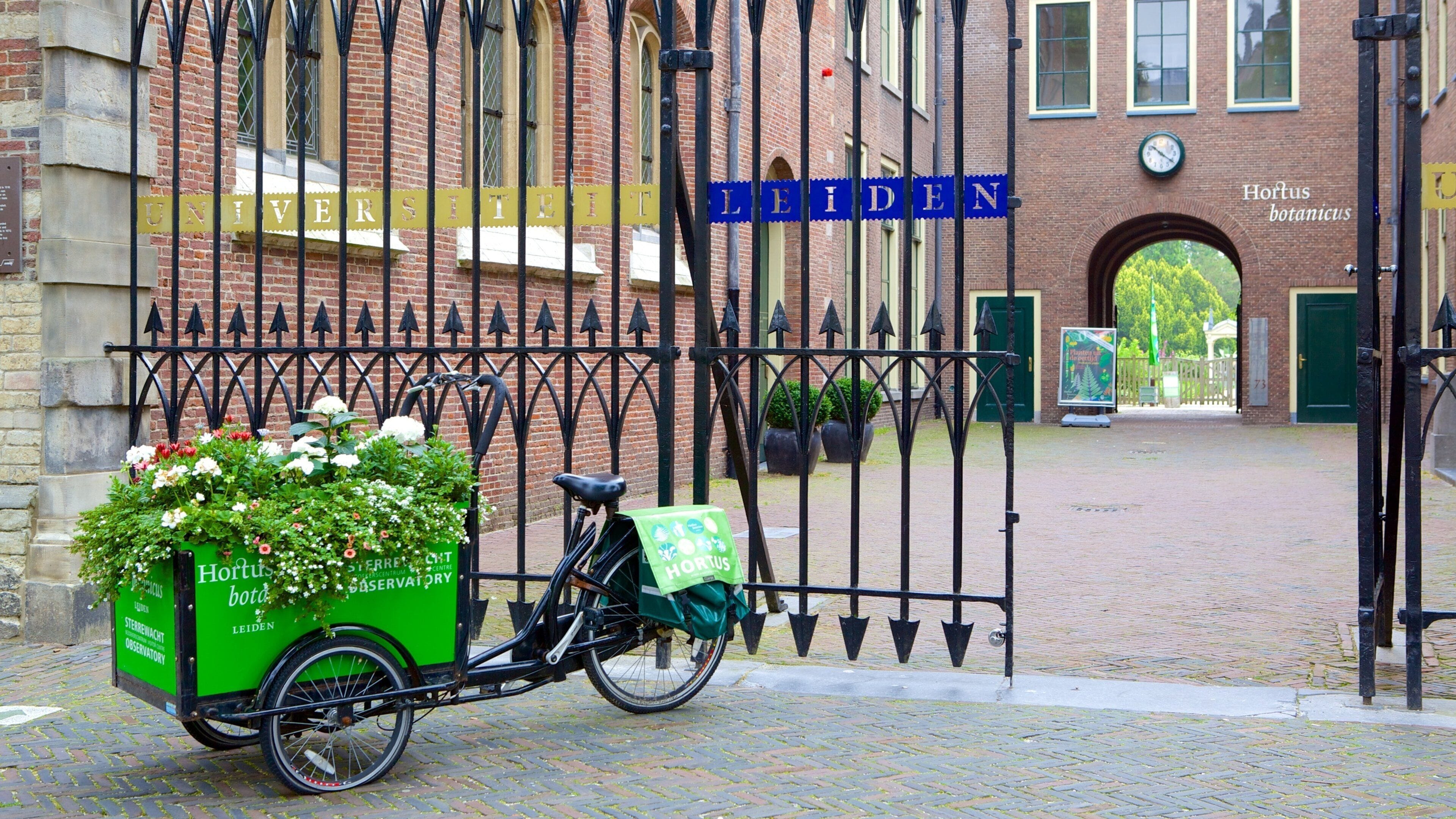 Hortus Botanicus featuring flowers