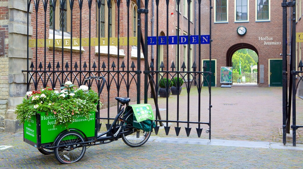 Hortus Botanicus showing flowers