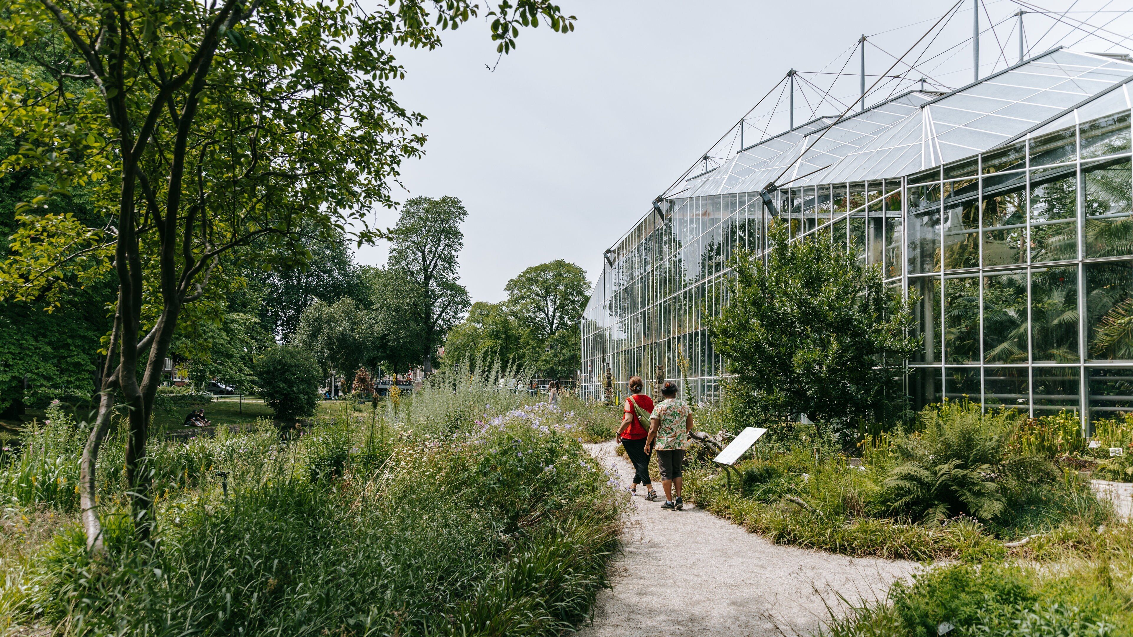 Hortus Botanicus showing a park