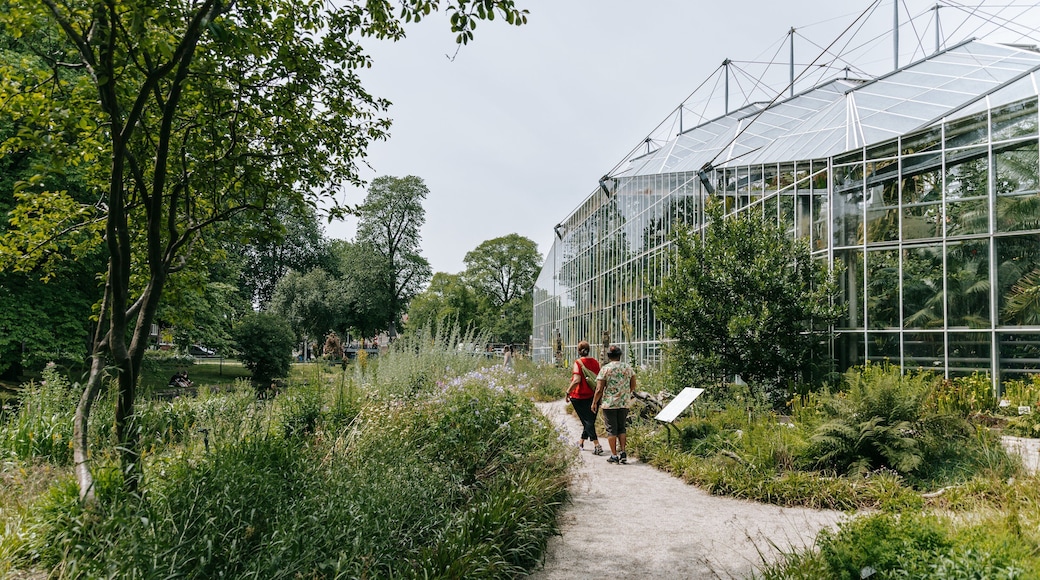 Hortus Botanicus showing a park