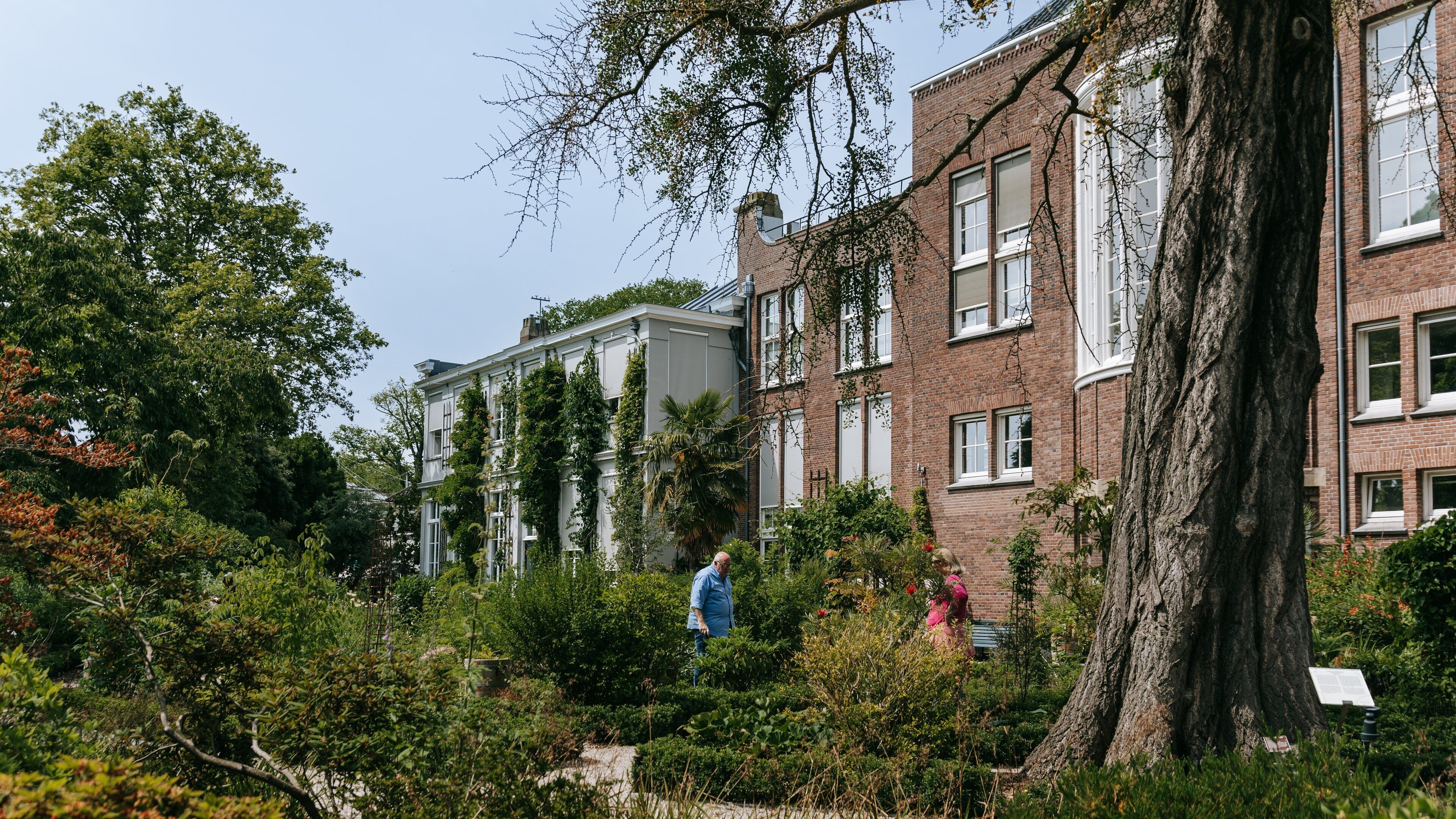 Hortus Botanicus featuring a park