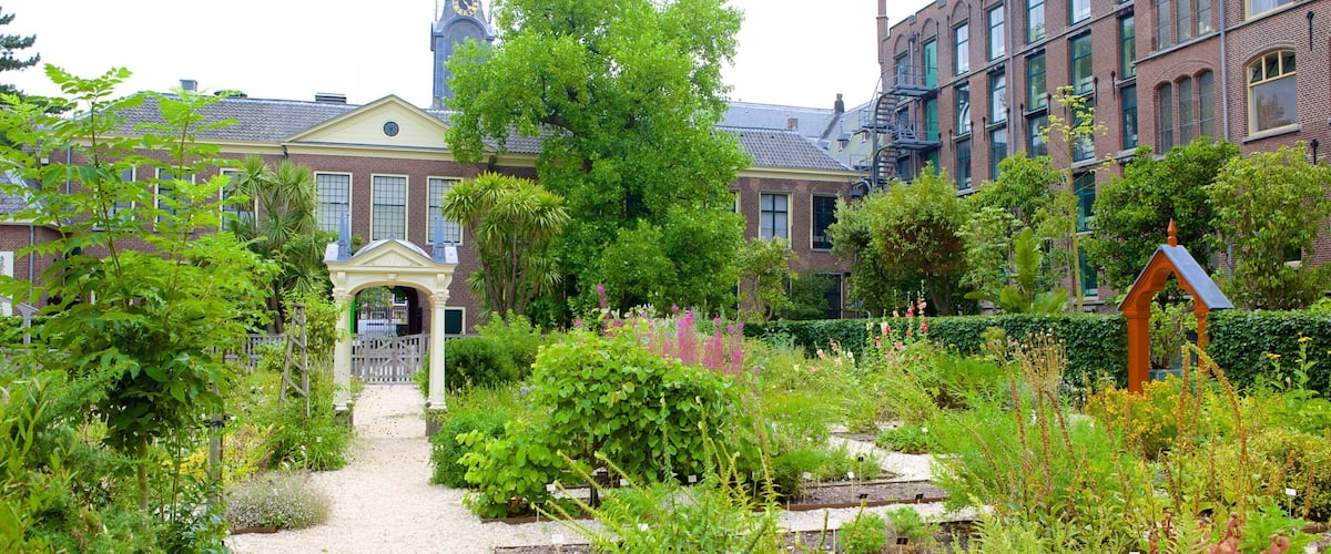 Hortus Botanicus showing heritage architecture, flowers and a garden