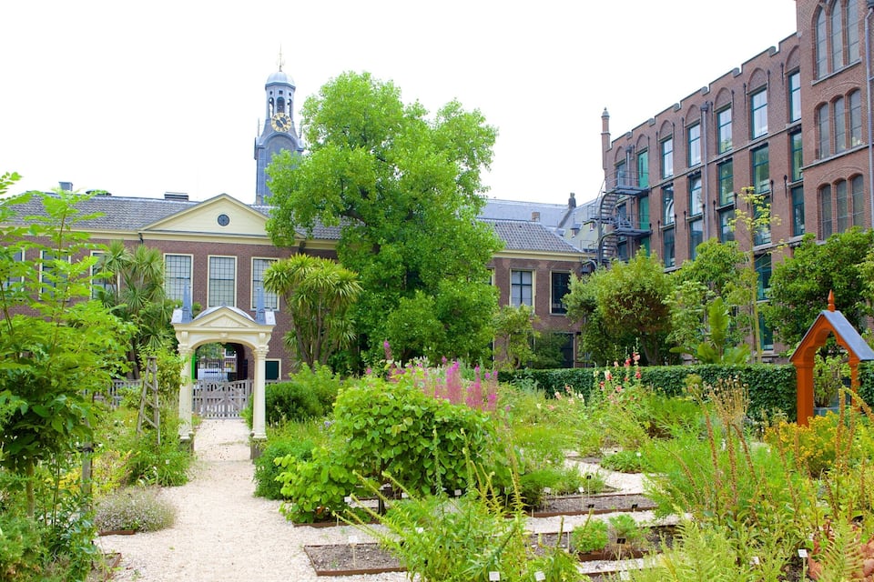 En have med en sti der fører til en pavillon, omgivet af frodigt grønt og en historisk bygning med et tårn og et ur.