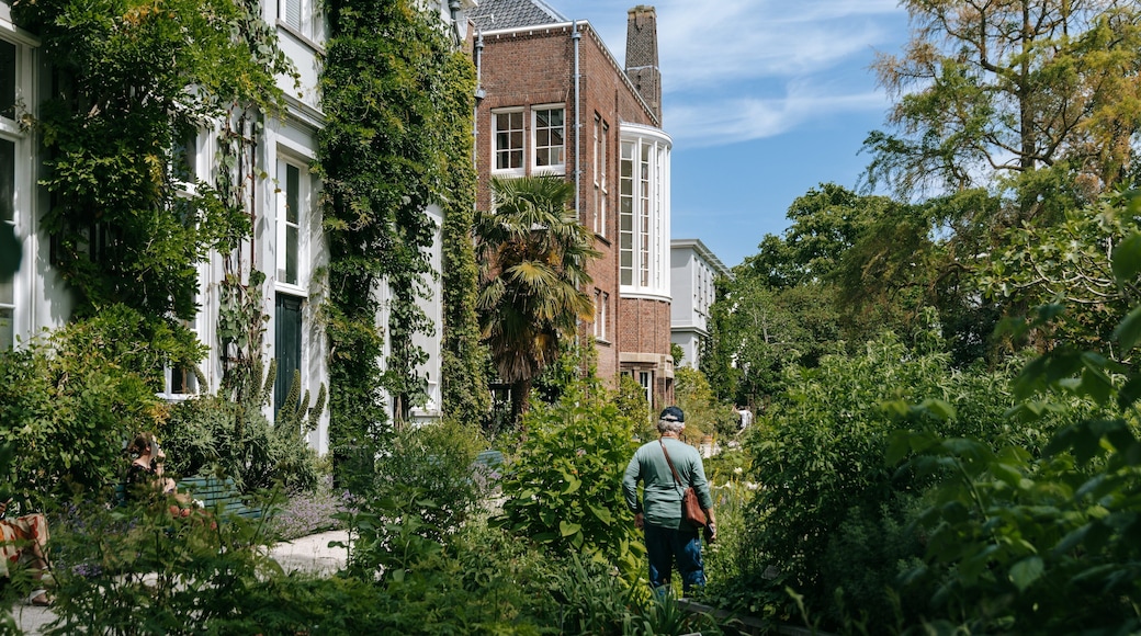 Hortus Botanicus which includes a garden as well as an individual male