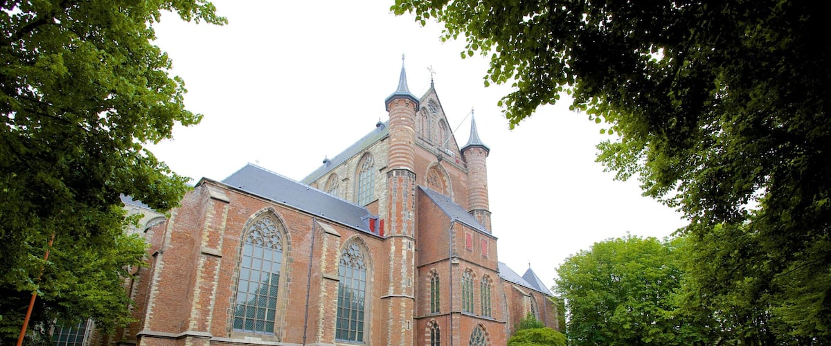 Pieterskerk showing religious elements and a church or cathedral