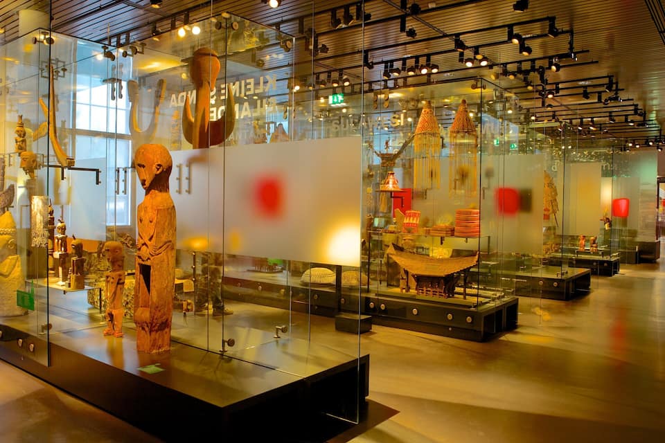A museum interior with glass display cases containing various artifacts.