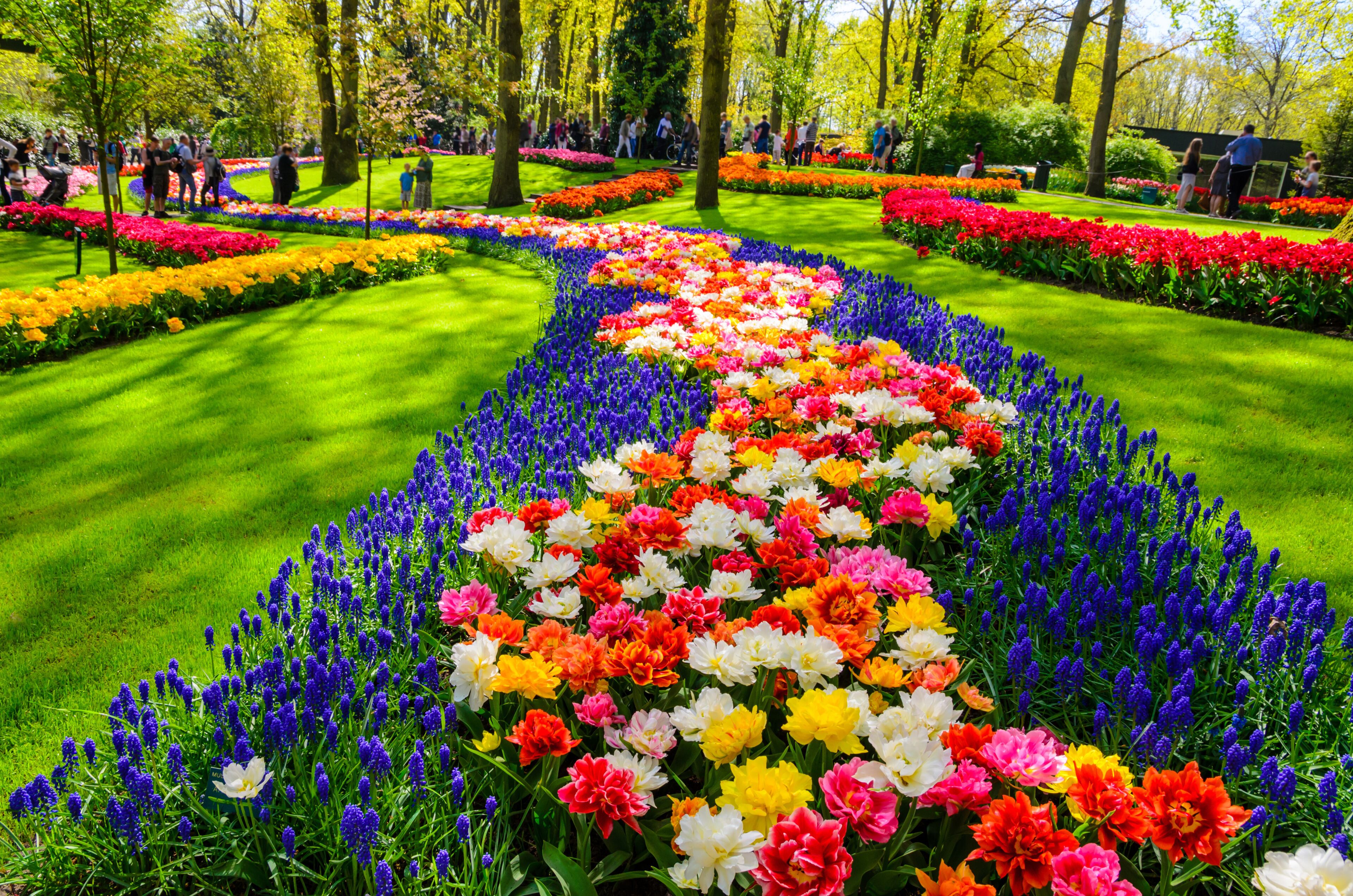 A vibrant flower garden with a variety of colorful blooms and neatly trimmed grass.