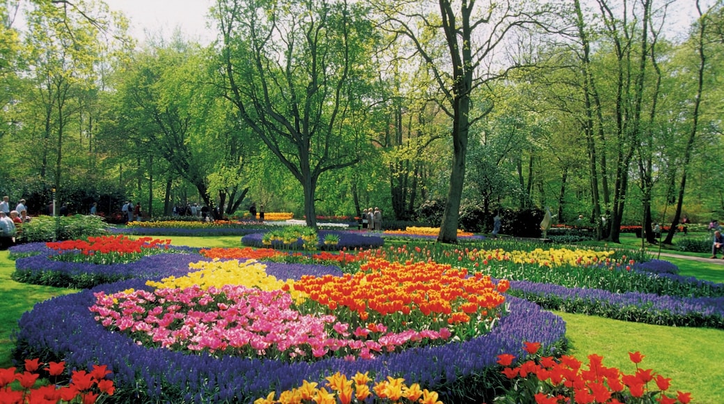 Công viên Keukenhof