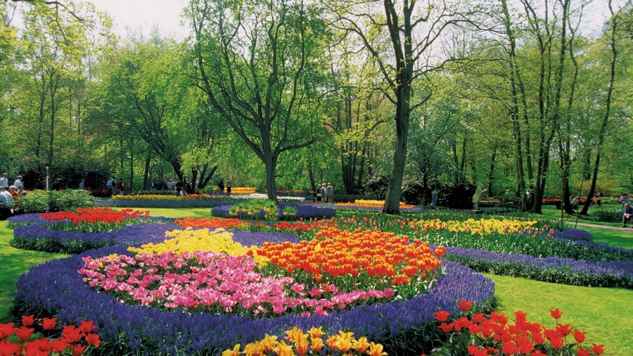 حدائق كويكنهوف