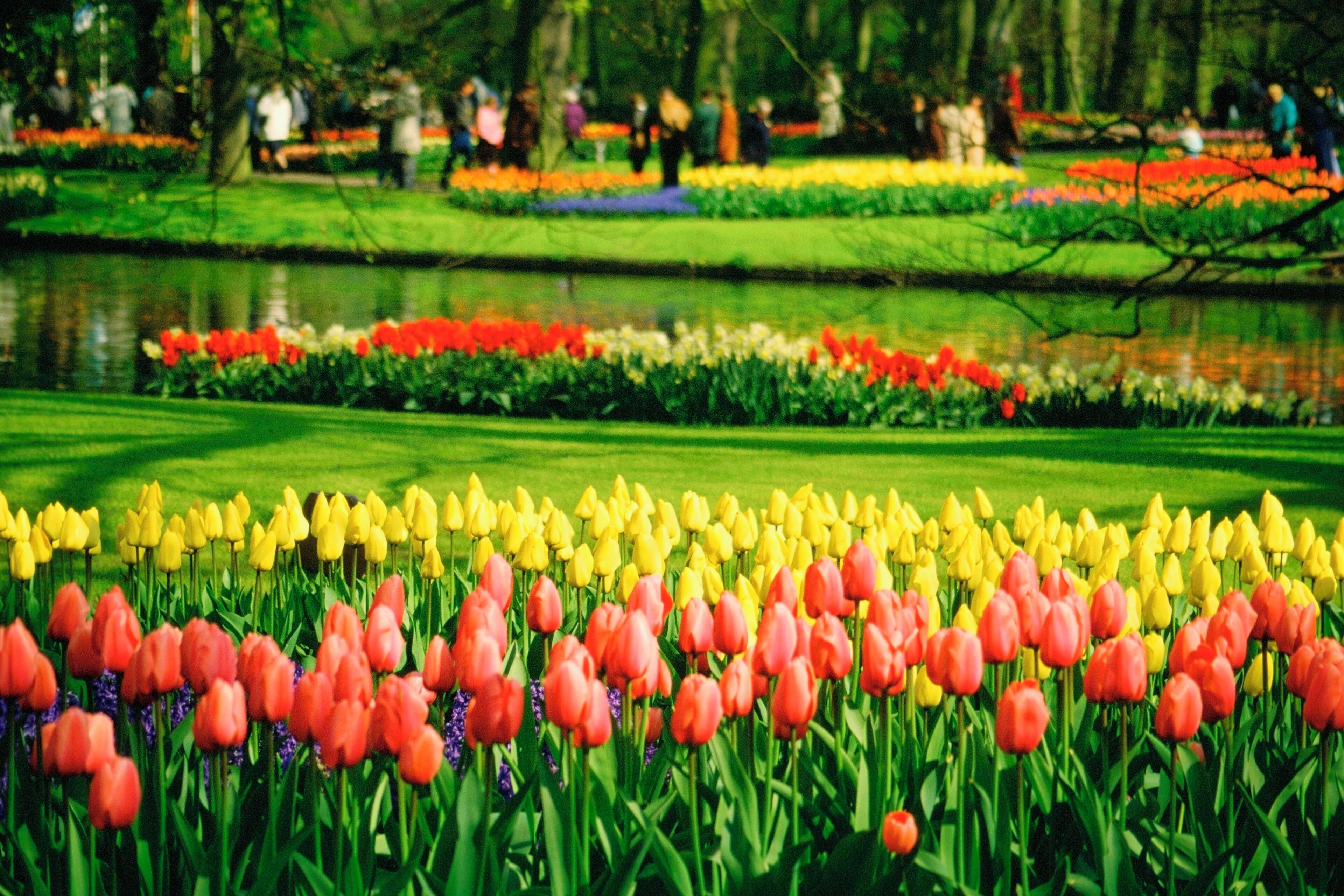 Công viên Keukenhof