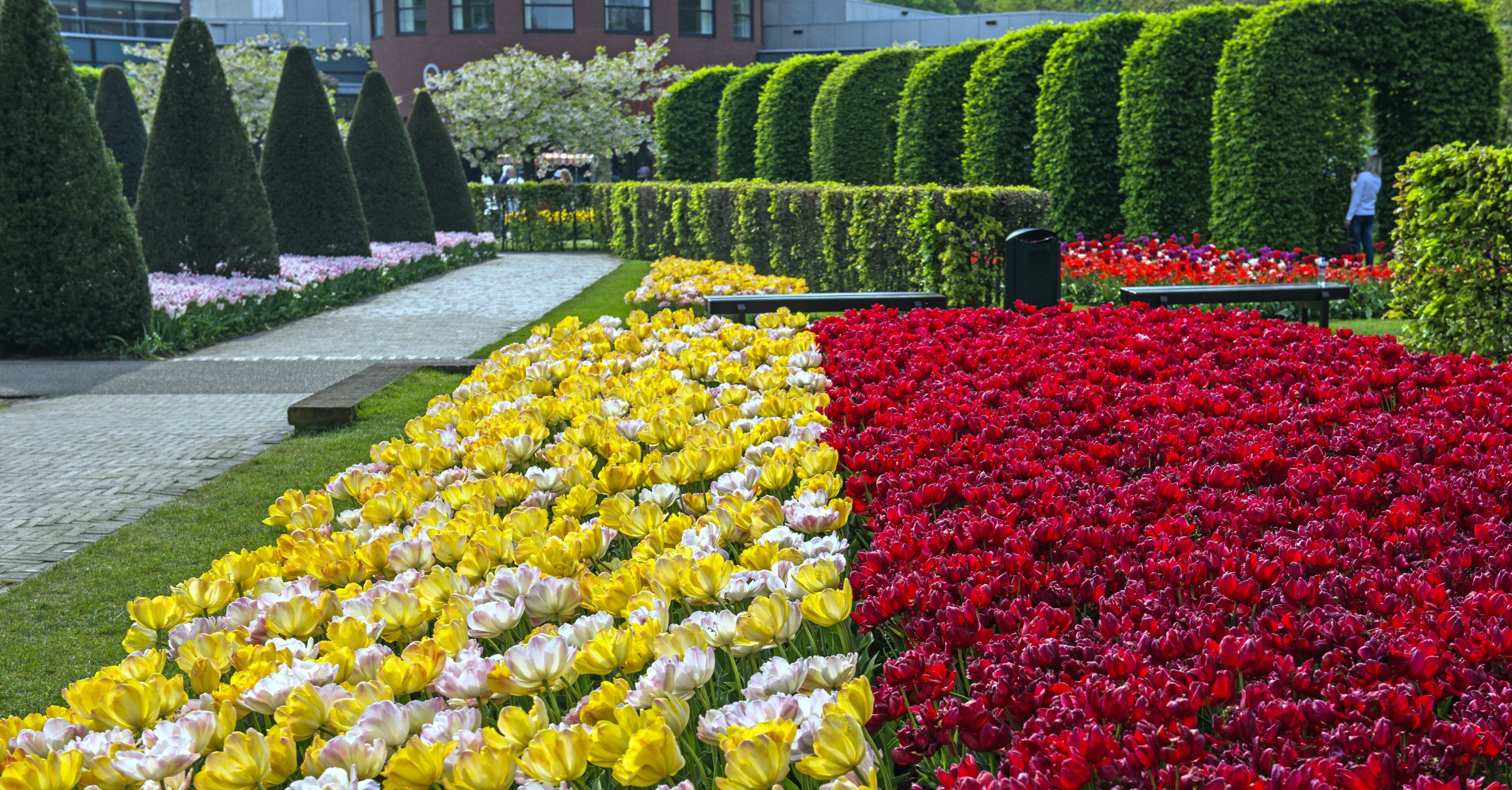 Keukenhof-haverne