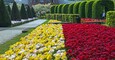 Keukenhof