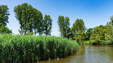 river Amer. National park Hollandse Biesbosch. Drimmelen. The Netherlands