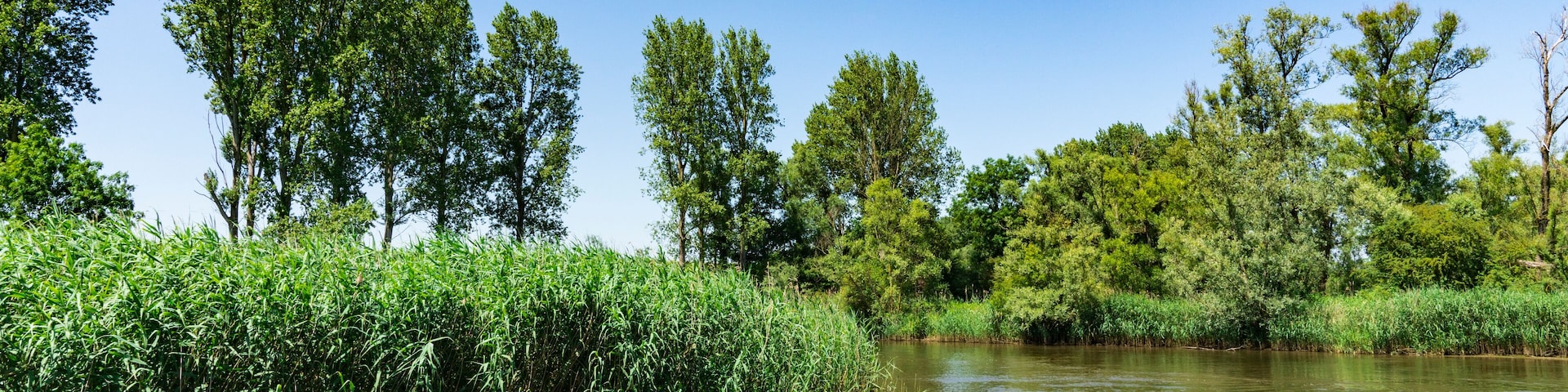 river Amer. National park Hollandse Biesbosch. Drimmelen. The Netherlands