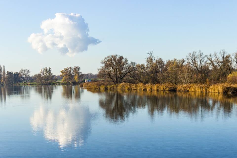 A calm lake with reflections of trees and a clear sky.