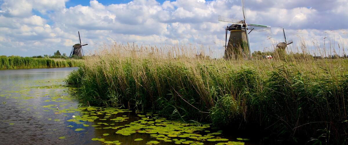 Kinderdijk og byder på en flod eller et vandløb, en vindmølle og vådområde