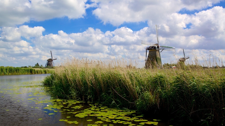 Kinderdijk che include fiume o ruscello, palude e mulino a vento