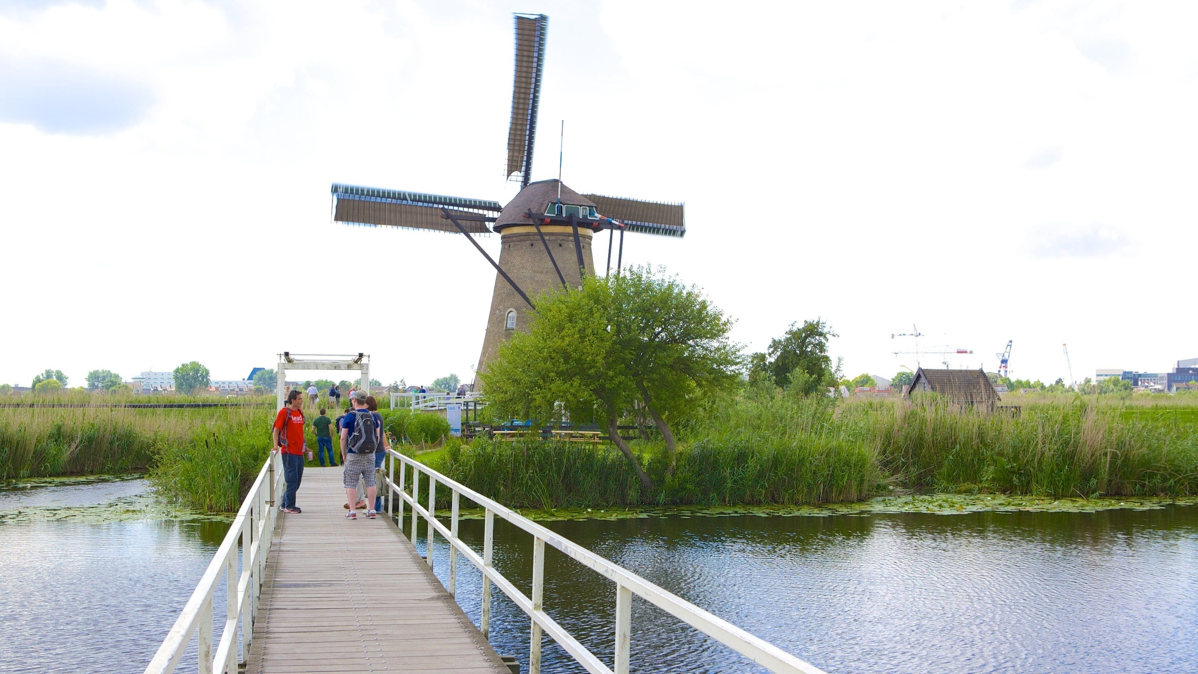 Kinderdijk showing a bridge, a windmill and wetlands