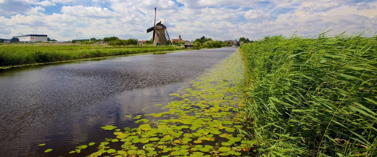 Mill Network at Kinderdijk-Elshout featuring wetlands and a river or creek