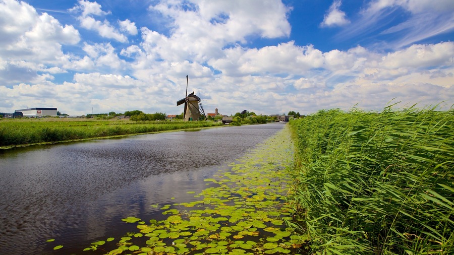Mill Network at Kinderdijk-Elshout featuring wetlands and a river or creek