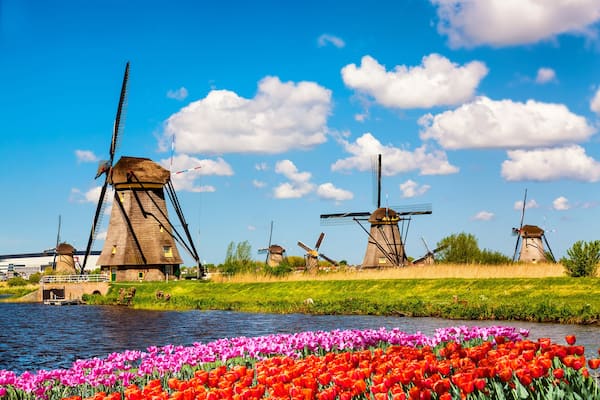 Des moulins à vent, une rivière et des tulipes.