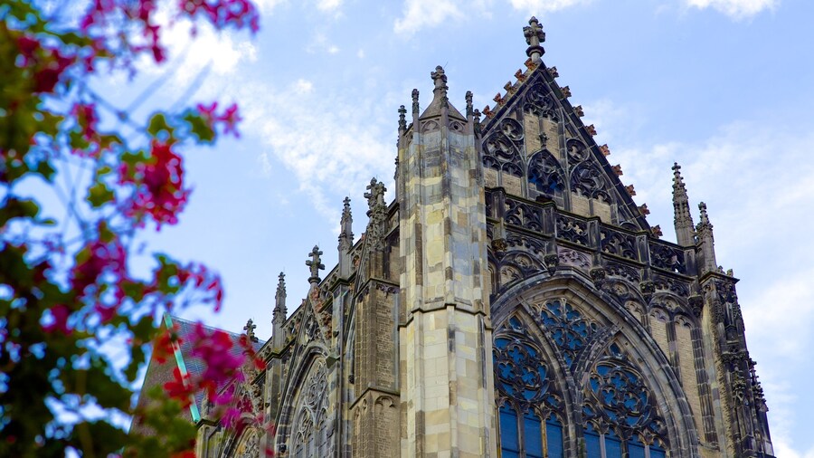 Dom Church which includes art, flowers and a church or cathedral