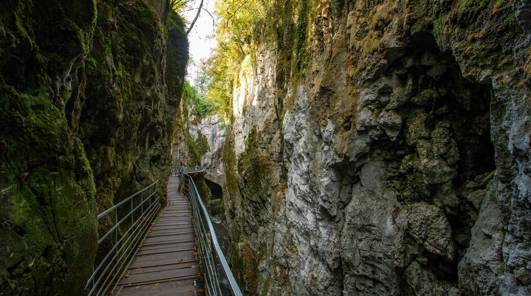 Gorges du Fier