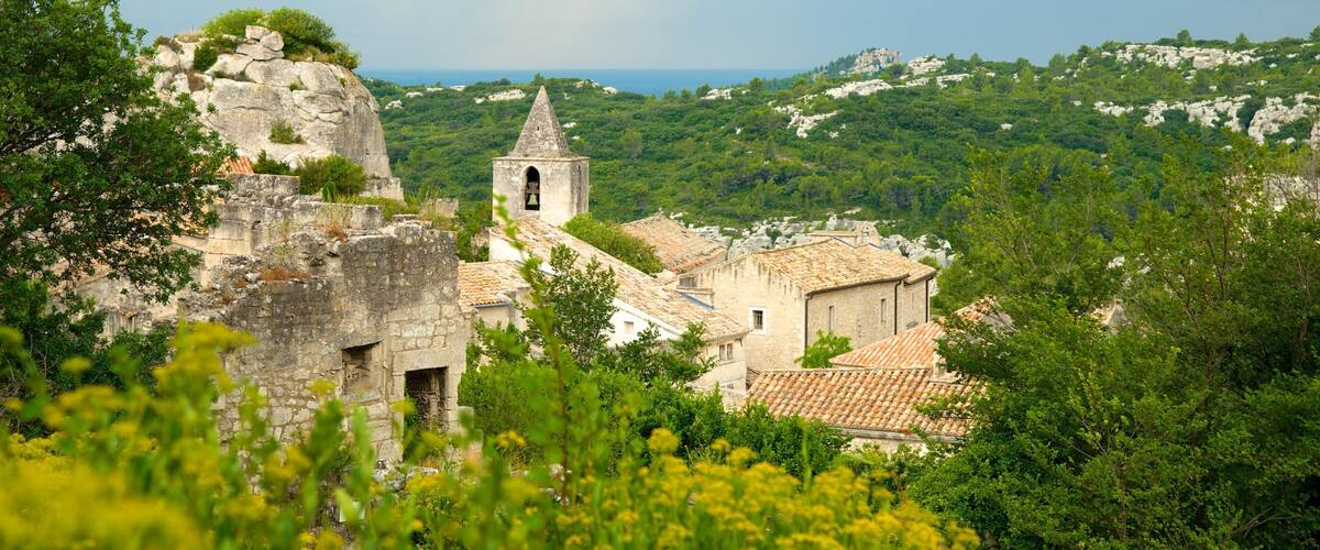 Chateau des Baux que inclui um pequeno castelo ou palácio, cenas de floresta e paisagem