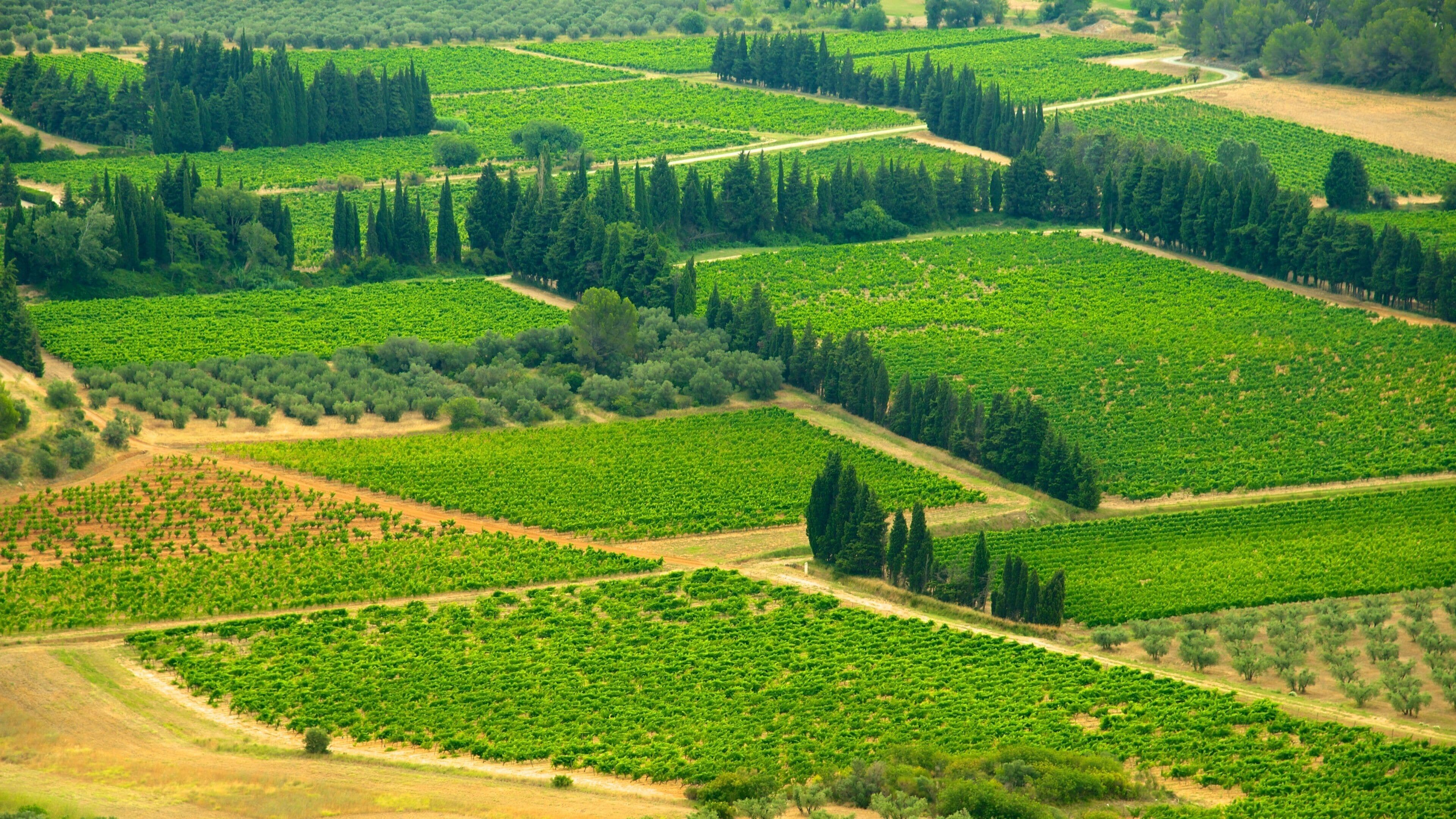 Château des Baux qui includes panoramas
