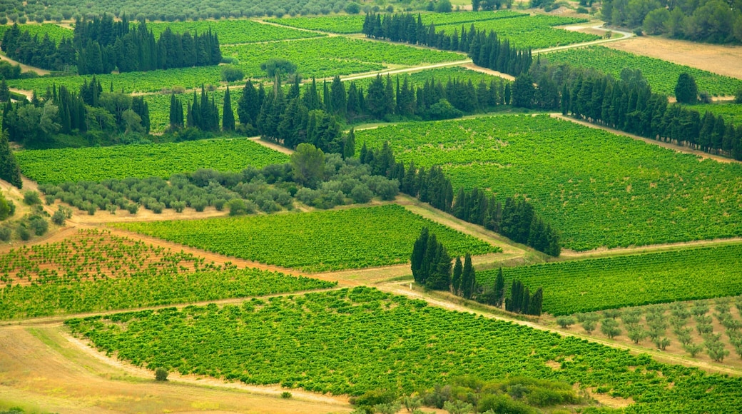 ChĂąteau des Baux qui includes panoramas