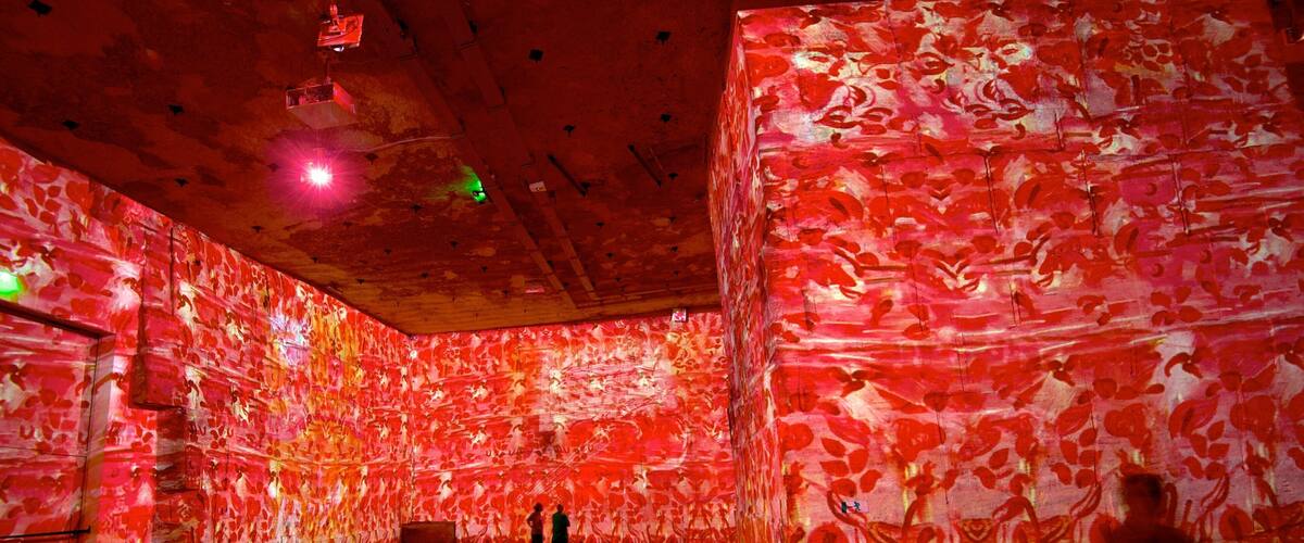 Carrieres de Lumieres showing interior views and art