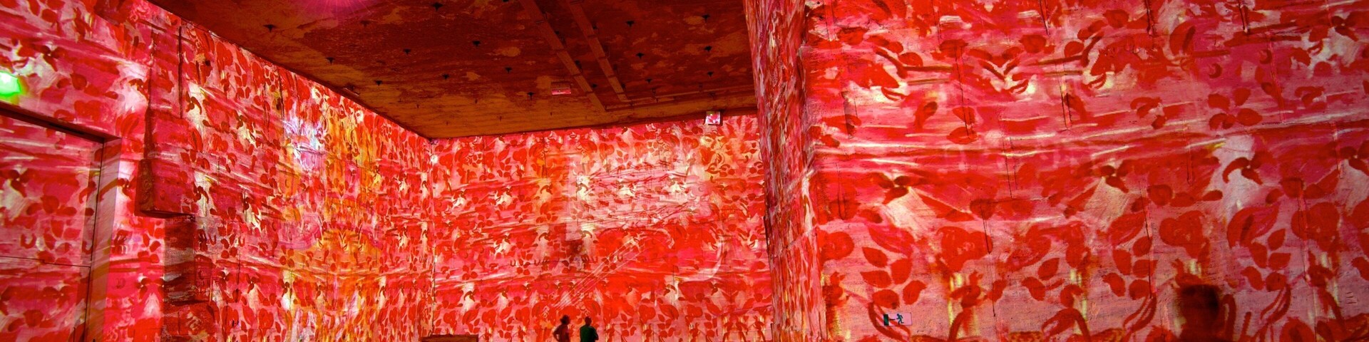 Carrieres de Lumieres showing interior views and art