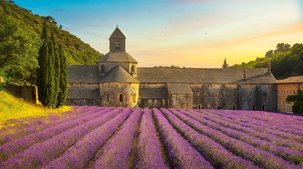 Abbazia di Sénanque