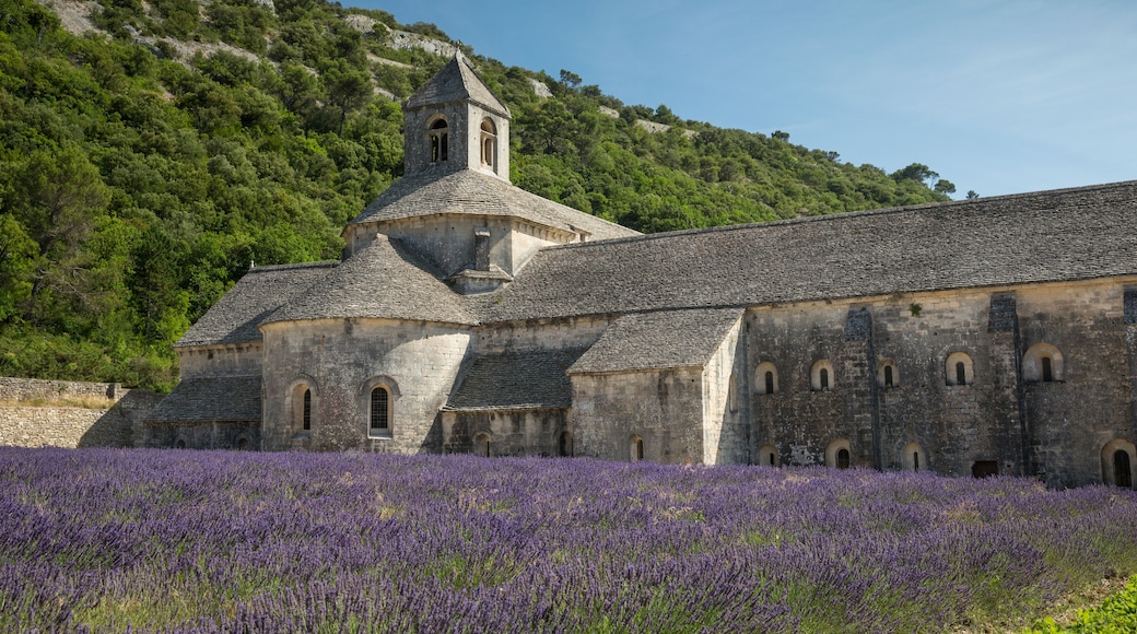 Abbazia di Sénanque
