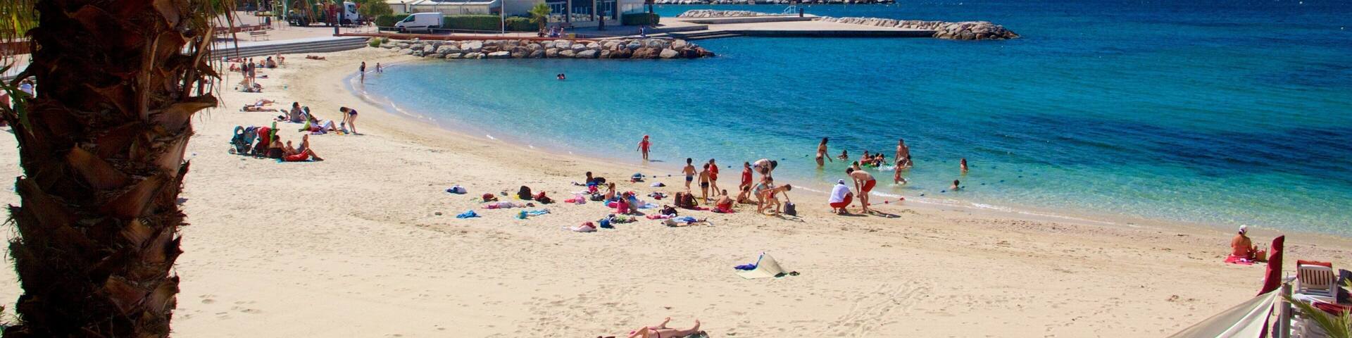 Toulon Beach which includes a beach and tropical scenes