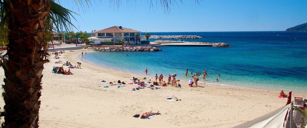 Toulon Beach showing tropical scenes and a beach