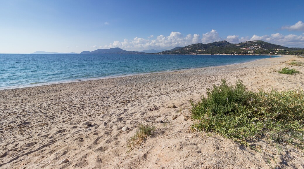 plage de l'almanarre, hyères, var, france