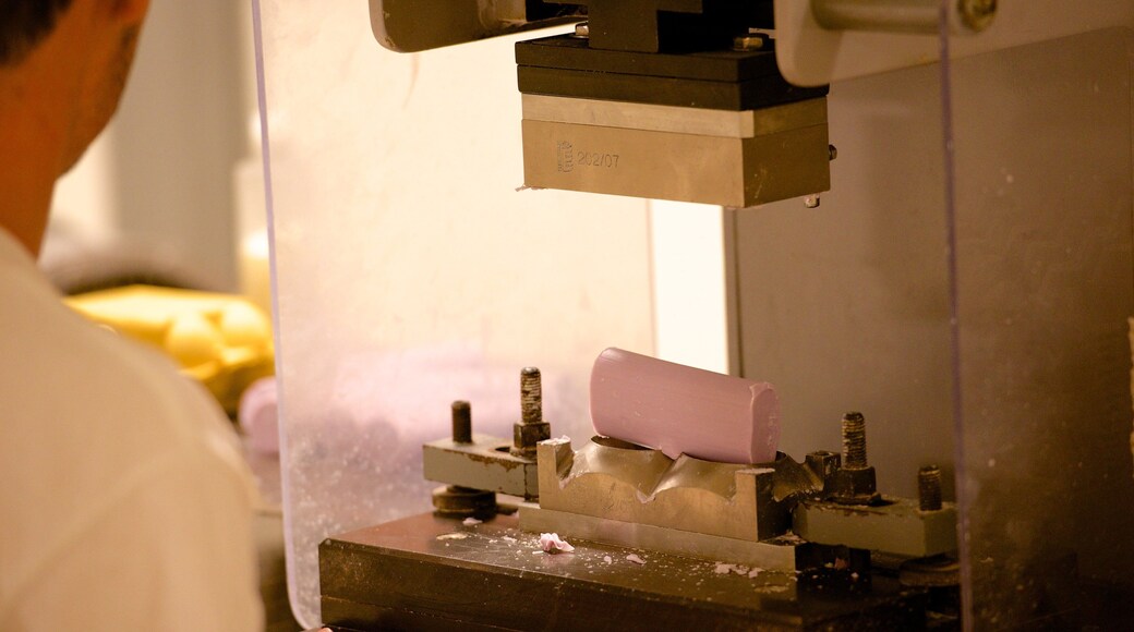 Museo Internacional de la Perfumería mostrando vistas interiores