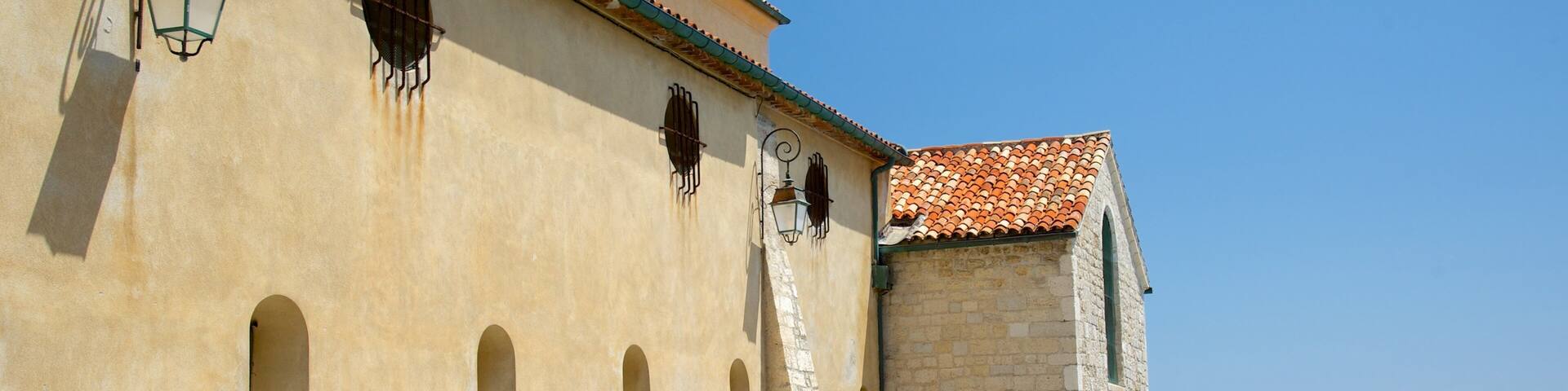 Cathédrale Notre-Dame-de-la-Platea