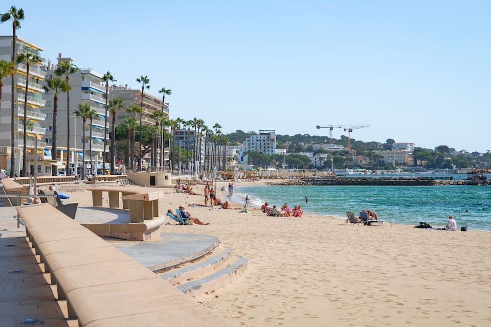 A sunny beach with palm trees, a sandy shore, and a pier extending into the water.